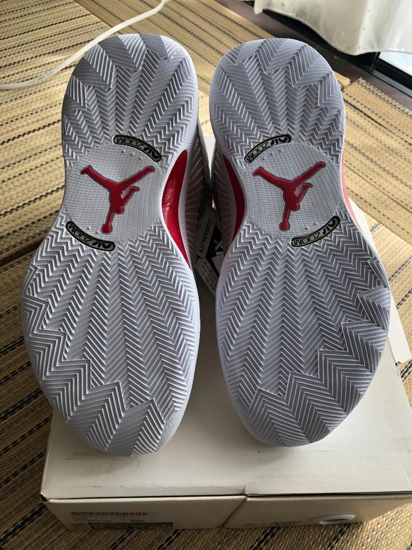NIKE (ナイキ) AIR JORDAN XXXV PF 　26.5㎝