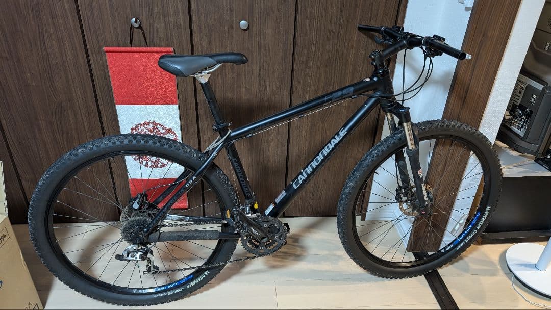 CANNONDALE 29'4 caffein　キャノンデール　29インチ