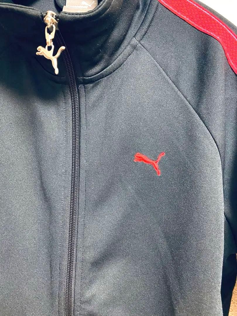 PUMA プーマ ジャージ上下 M