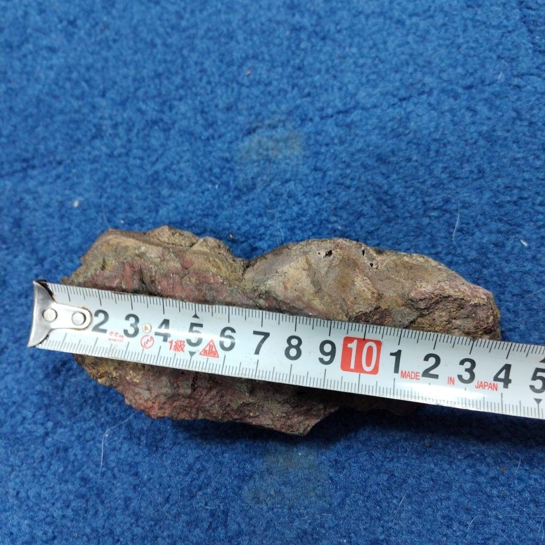 早い者勝ち！最終価格　菊花石　 天然石 鉱物 置物
