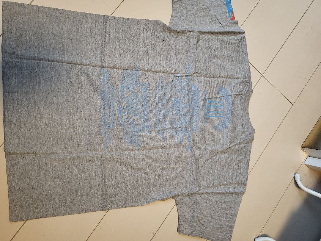 ゲスの極み乙女　サイン入りグレーTシャツ Mサイズ