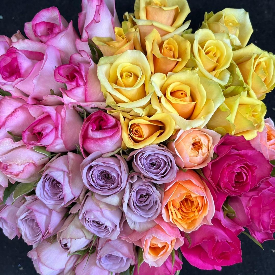 鮮度抜群‼️ 《切り花 ・生花 》おまかせミックス 30㎝SMサイズ！40本 薔薇