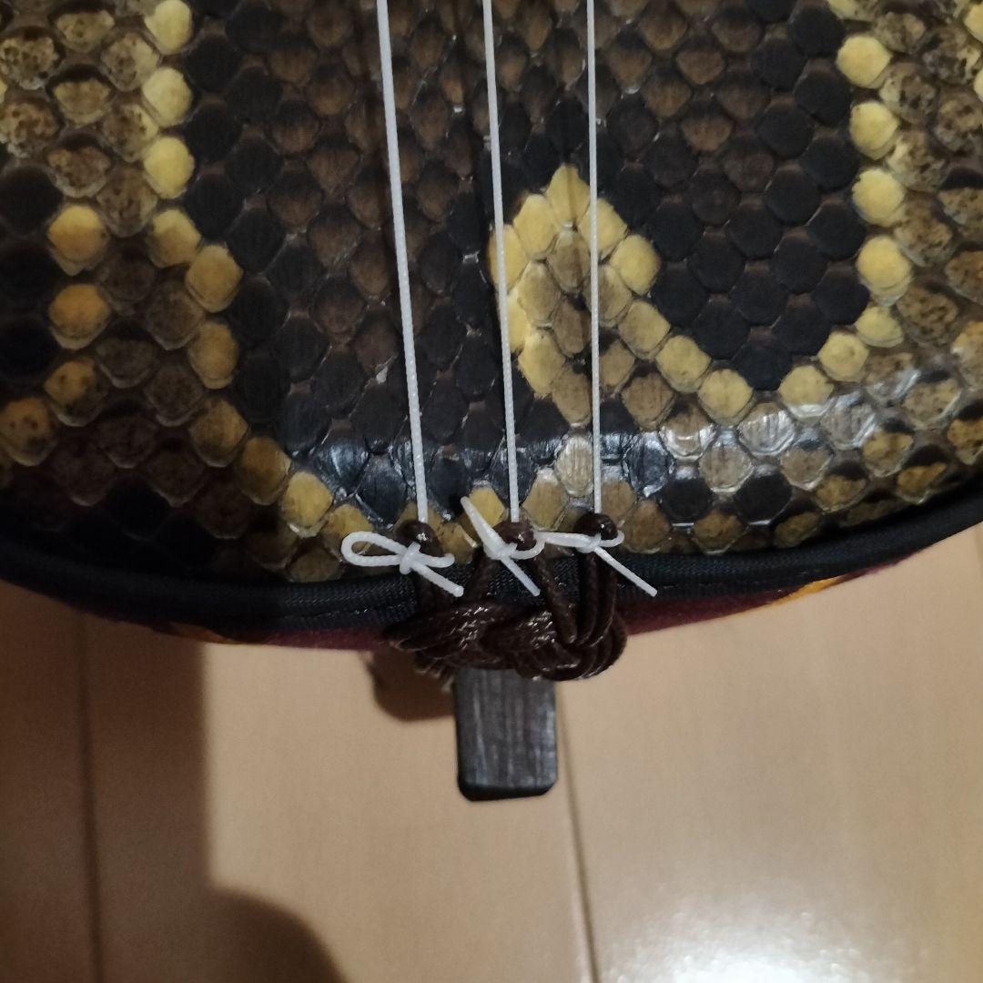 三線 沖縄 蛇皮 強化張り ハードケース 予備 弦 新垣三線