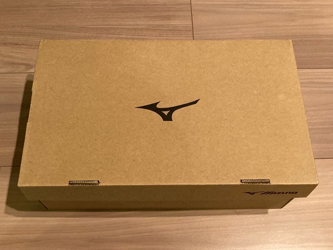 Mizuno バレーボールシューズ ブラック/ホワイト