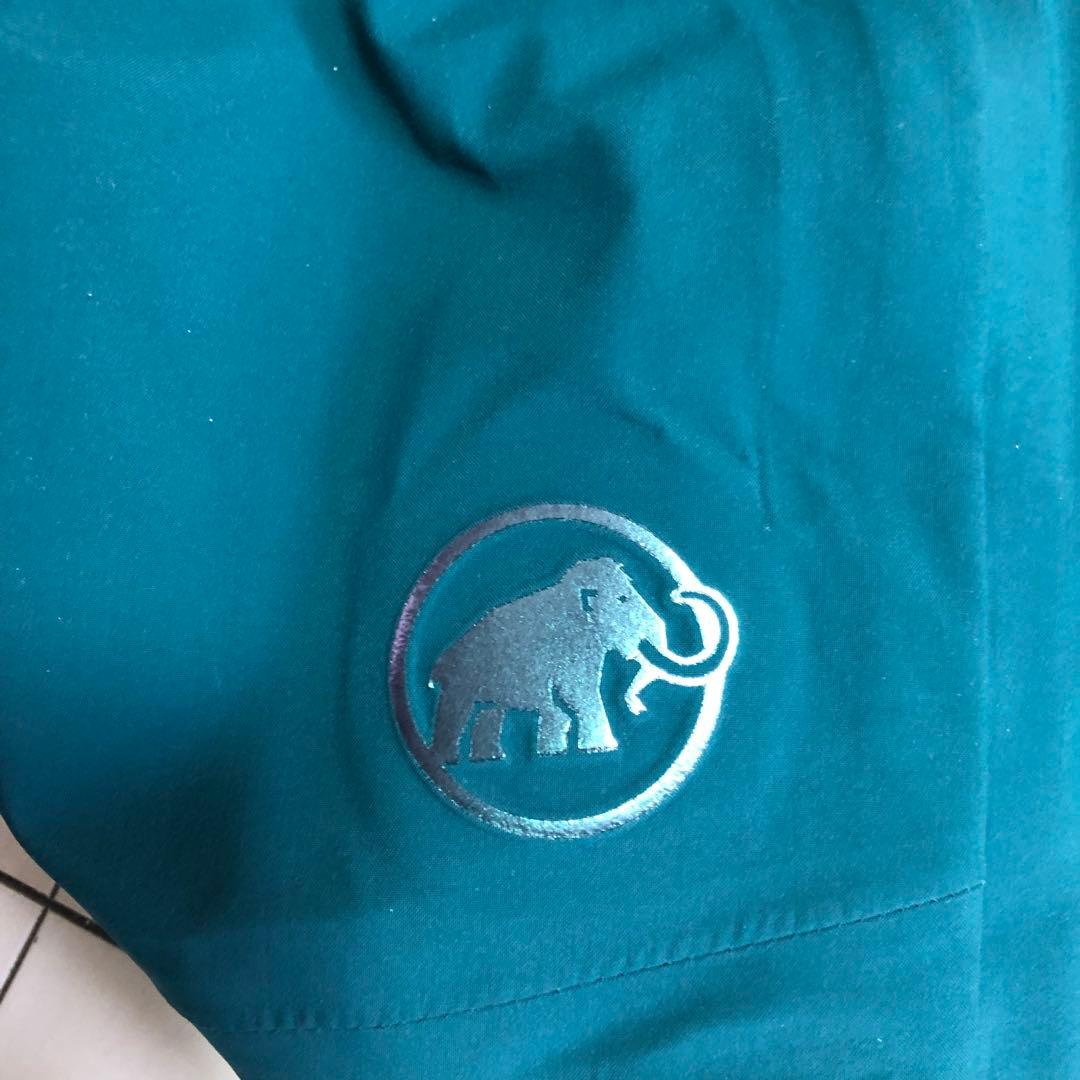 Mammut GORE-TEX 3L スノー　スキー　ビブパンツ　ak rtg並