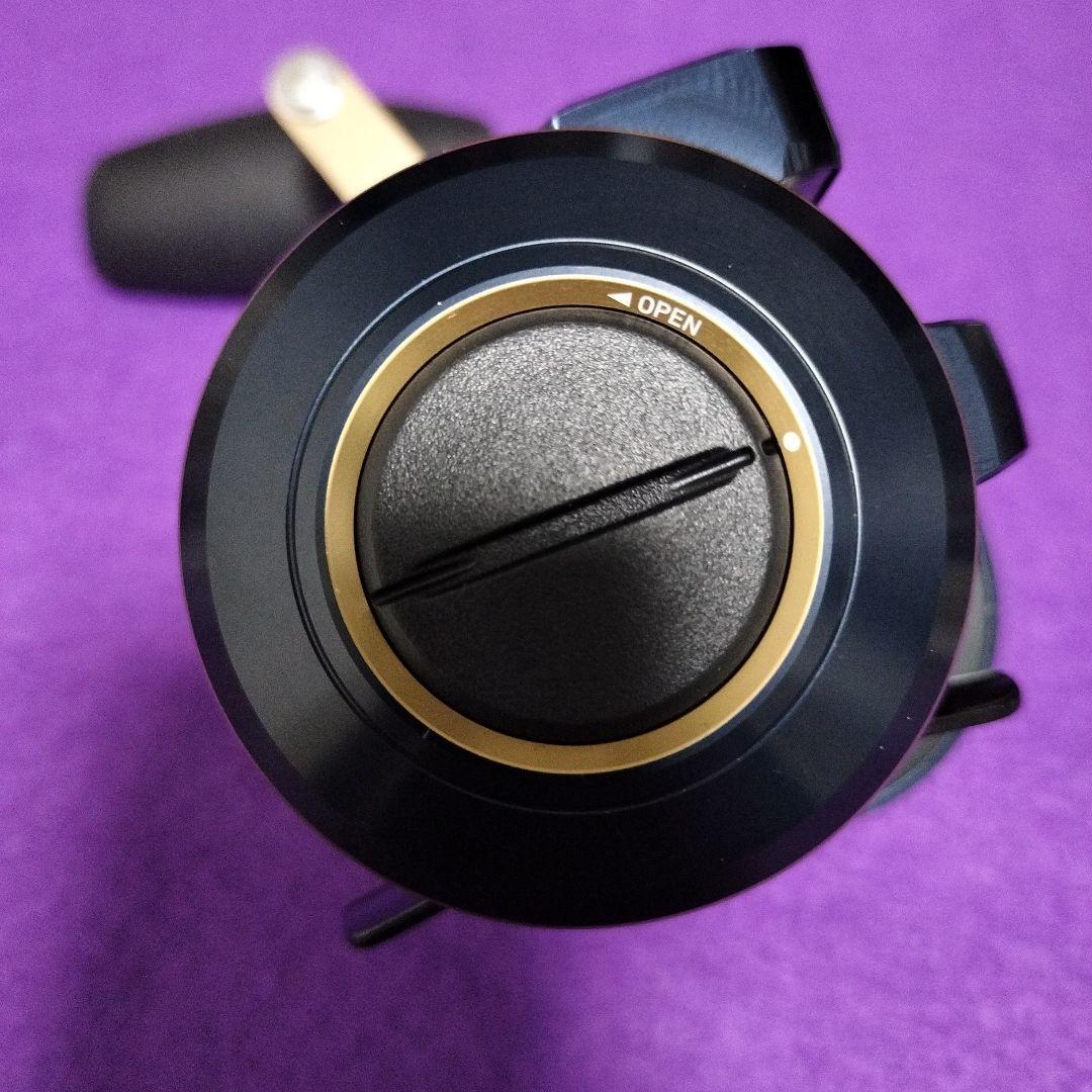 リール DAIWA SALTIGA IC 300H L -SJ