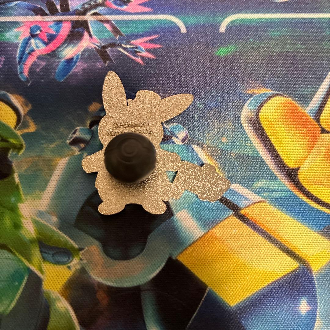 ポケパークカントー　ピンズ　フシギダネ　ヒトカゲ　ゼニガメ　ピカチュウ　イーブイ