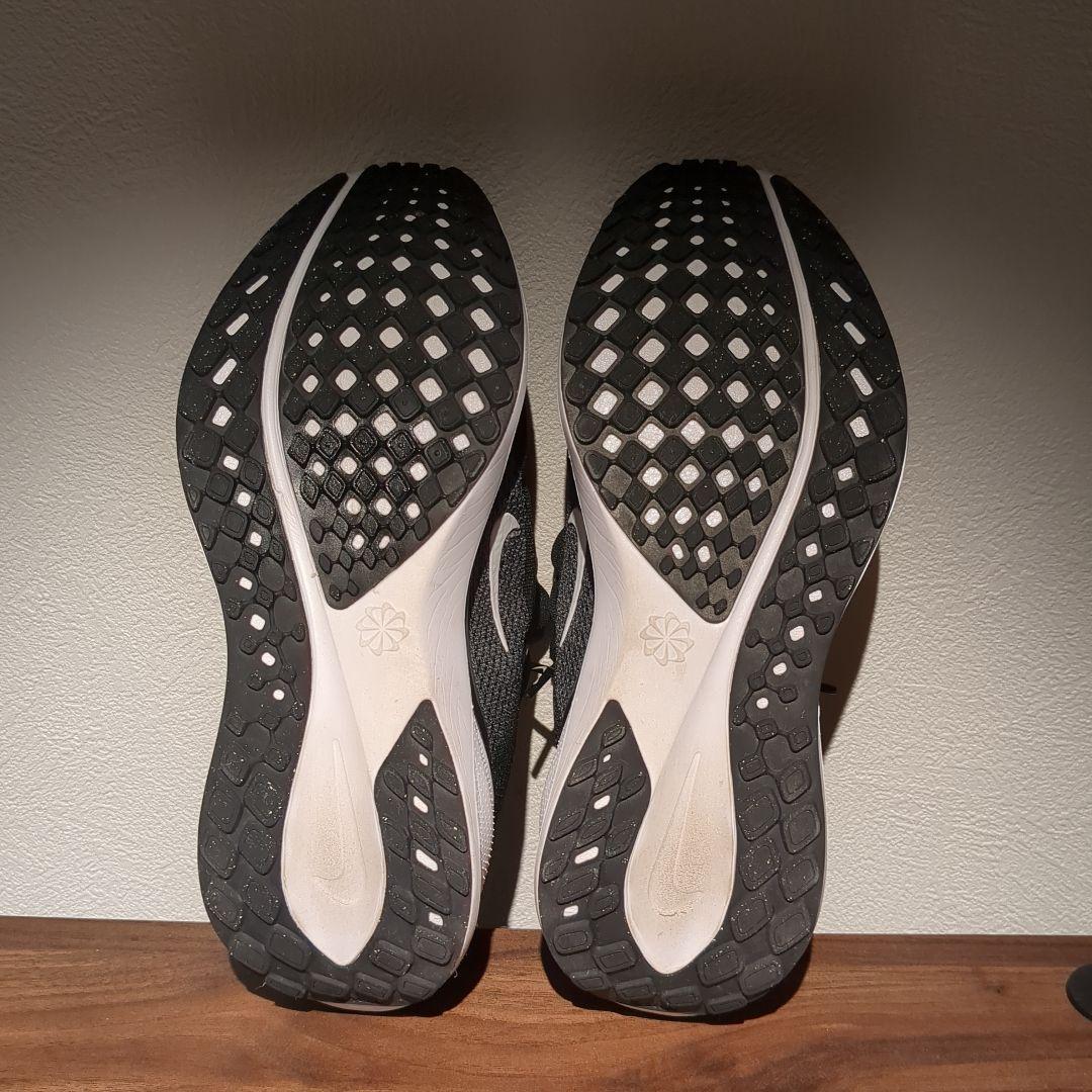 Nike エアズームペガサス41　ブラック 25.0cm