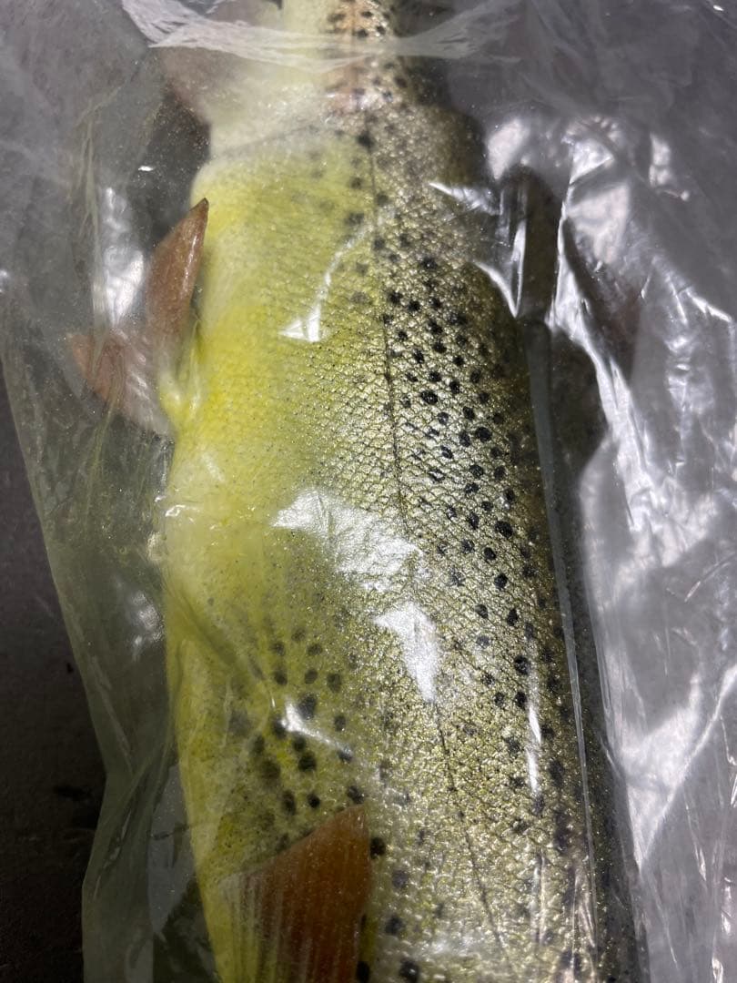 Mattlures Dead Twitch ビッグベイトルアー