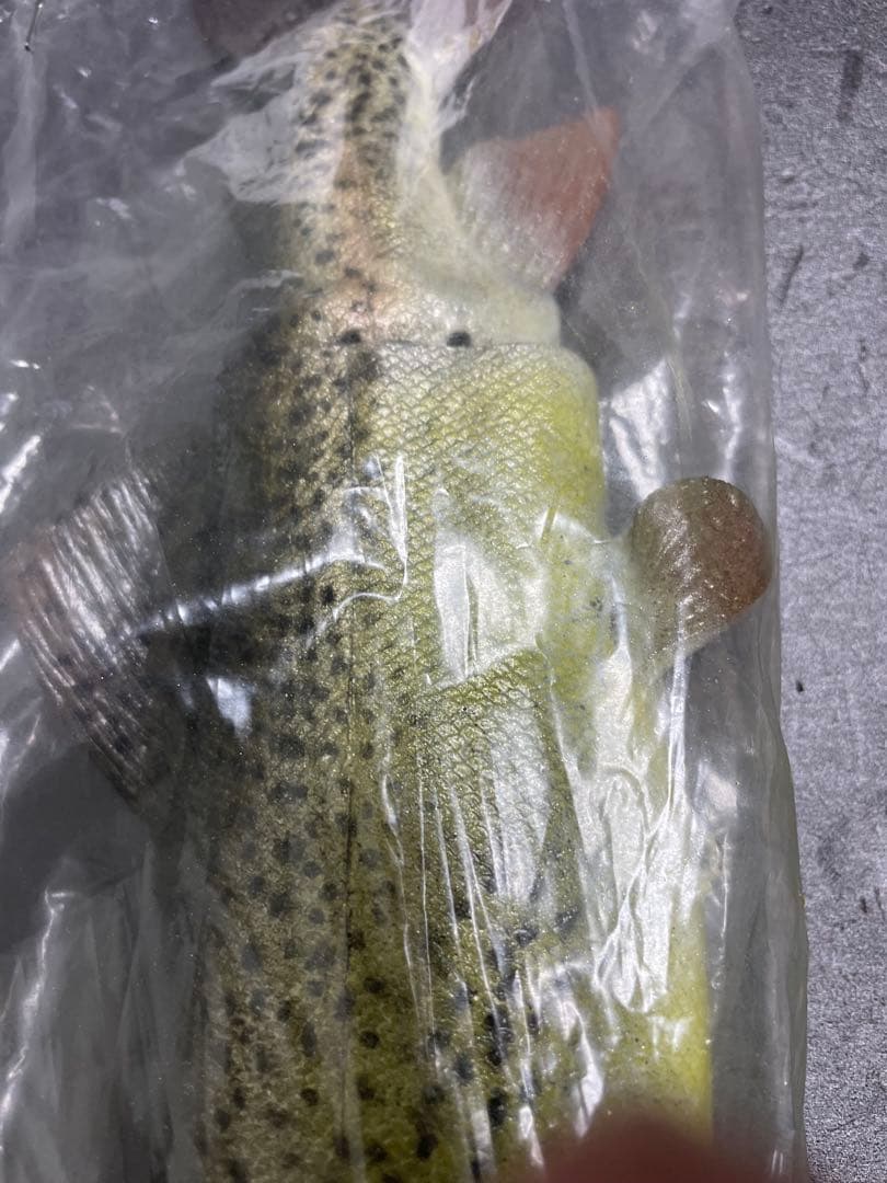 Mattlures Dead Twitch ビッグベイトルアー