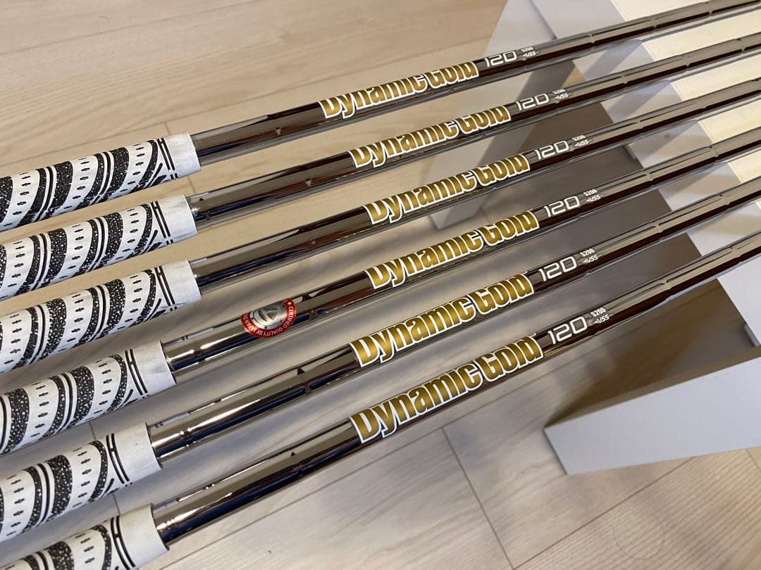 TaylorMade P790（2019）アイアン ダイナミックゴールド 120