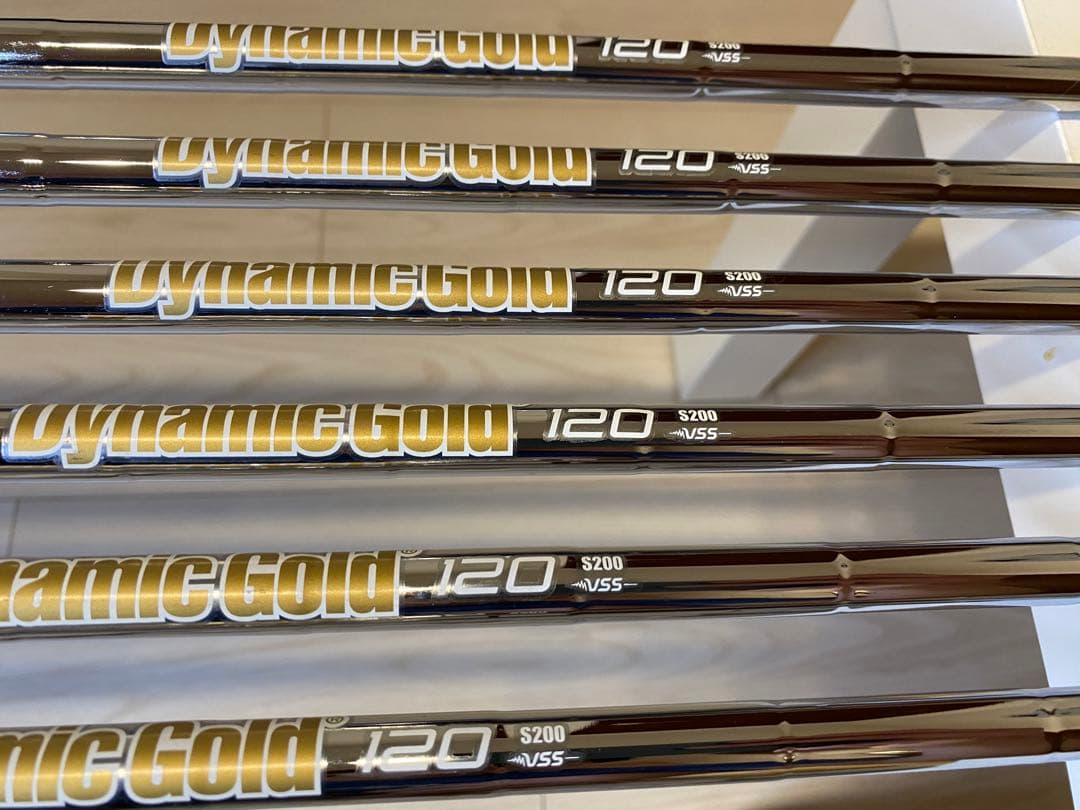 TaylorMade P790（2019）アイアン ダイナミックゴールド 120