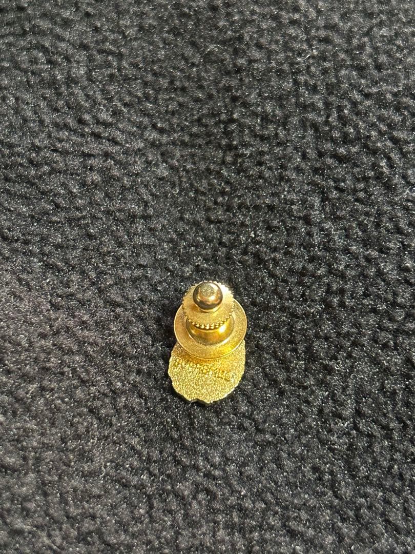 supreme Ladybug Pin ピンバッジ　キムタク使用　木村拓哉