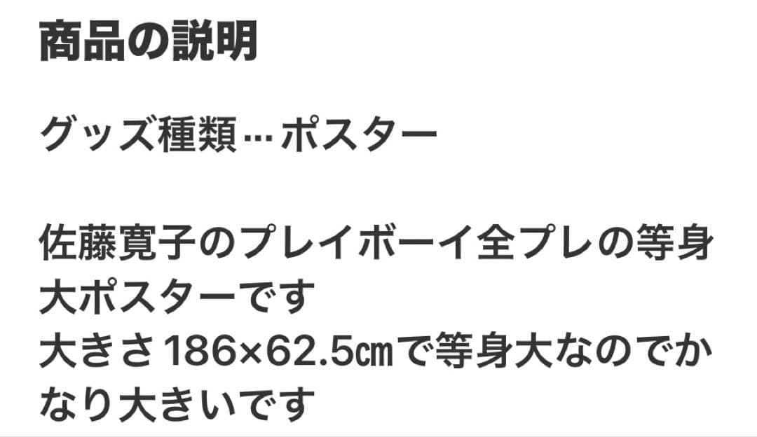 佐藤寛子 等身大ポスター 週刊プレイボーイ