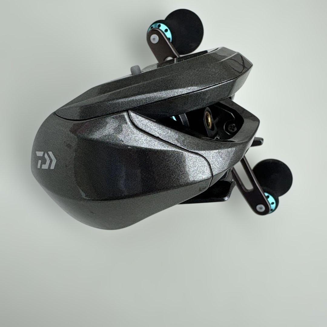Daiwa LIGHT SW X IC 左巻き