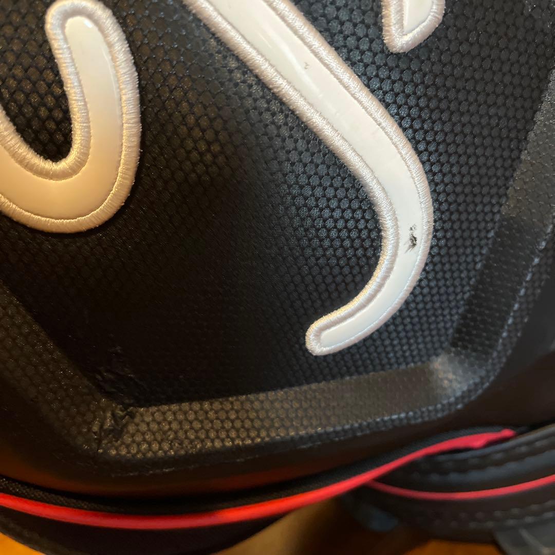 Titleistプロモデルキャディバッグ