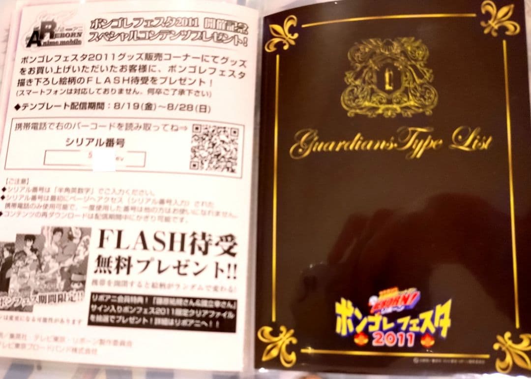 REBORN Coloré! ポストカード　ポストカードケースボンゴレフェスタ
