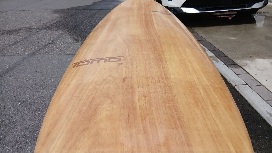 希少・美品 Firewire TOMO EVO 5´10