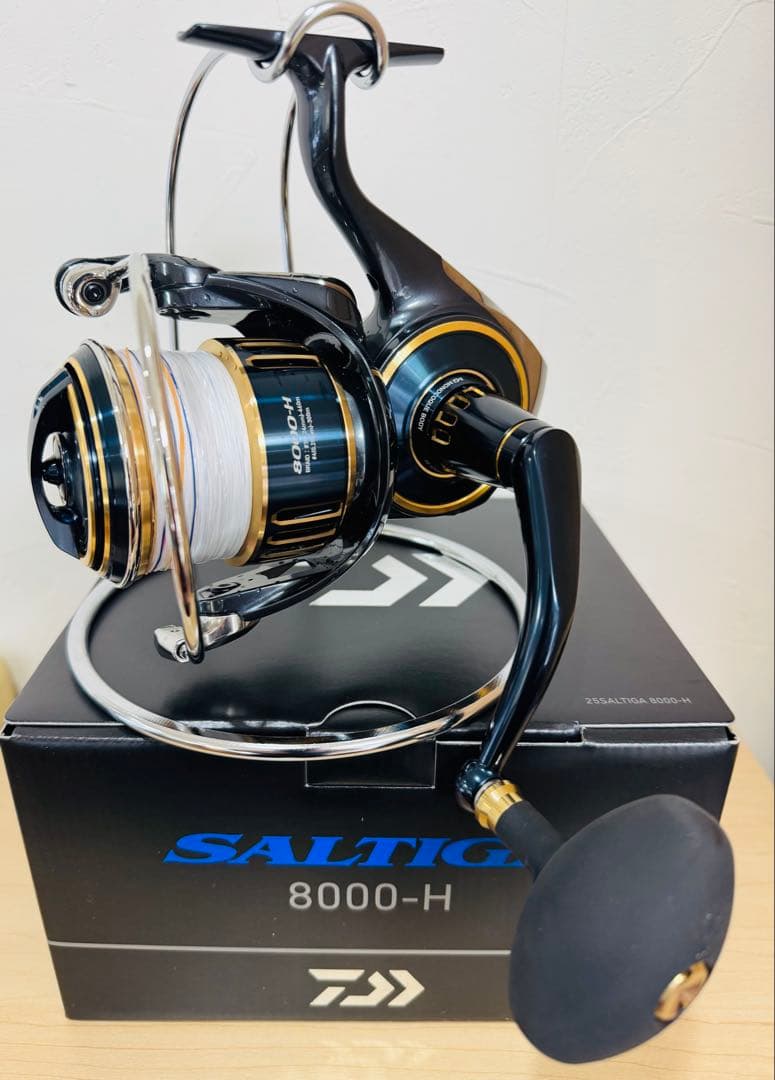 25ソルティガ8000-H