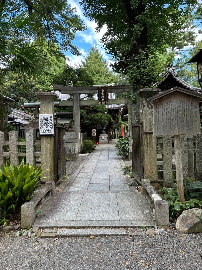 白雲神社　巳成金　小判御守り　金運向上　音楽関係成功　家運隆盛　商売繁盛