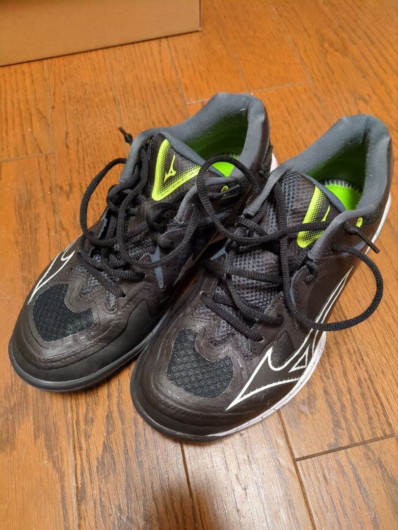 MIZUNO　バドミントンシューズ 25センチ