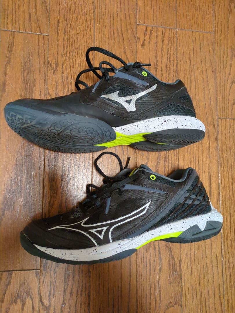 MIZUNO　バドミントンシューズ 25センチ