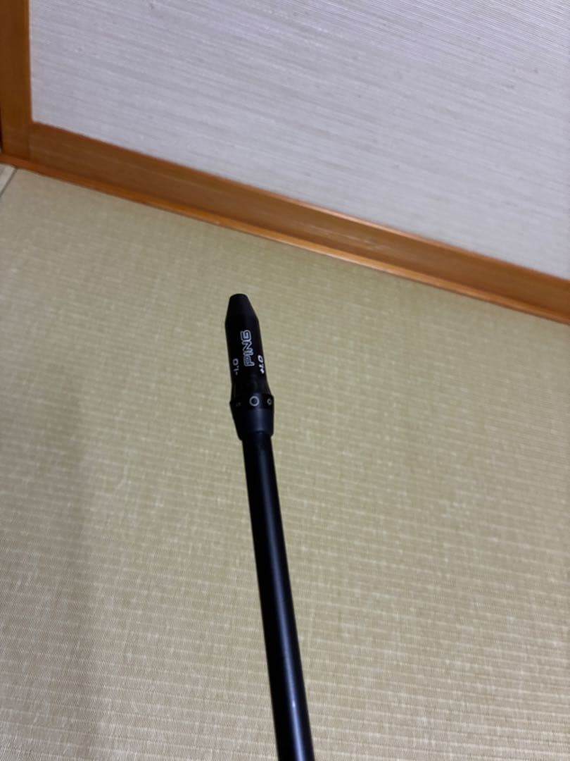 プロトステガ 60X pingスリーブ付き　浦大輔監修