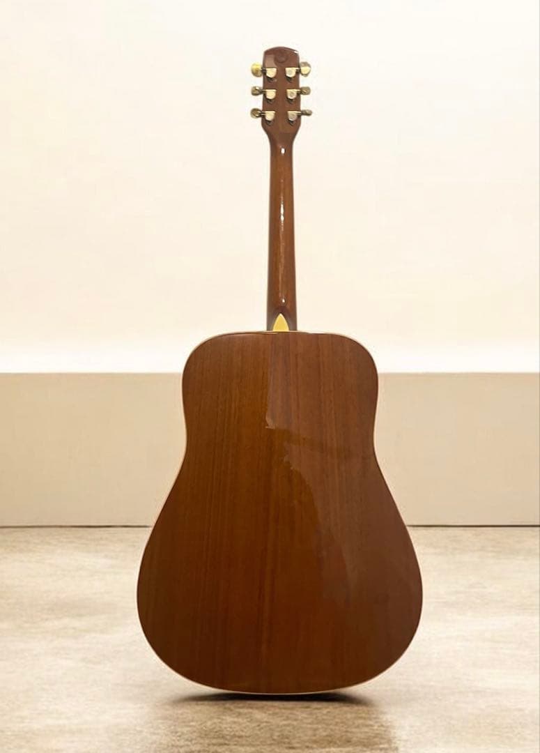 Fina アコースティックギターGuitar FAW-700/NT