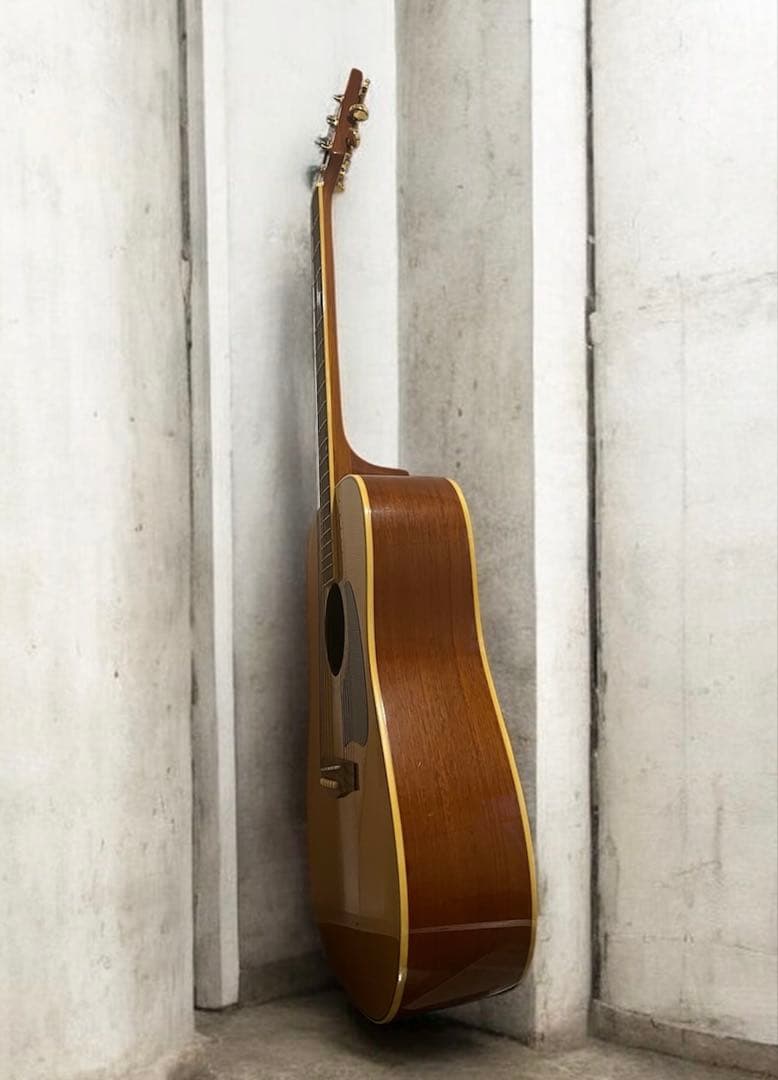 Fina アコースティックギターGuitar FAW-700/NT