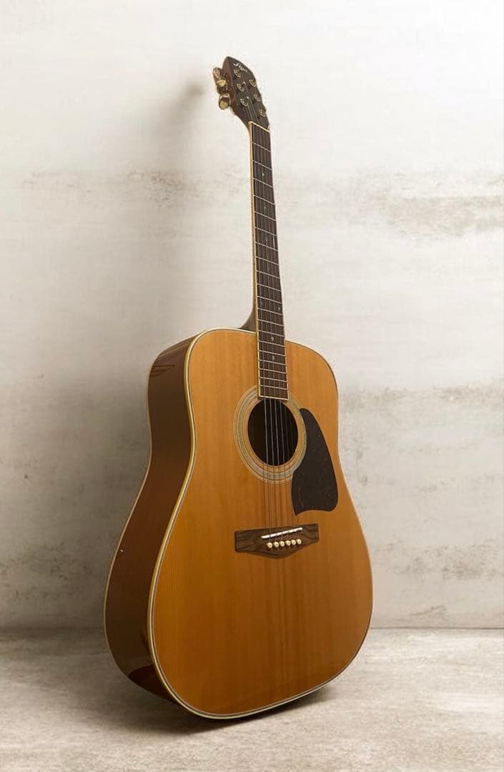 Fina アコースティックギターGuitar FAW-700/NT
