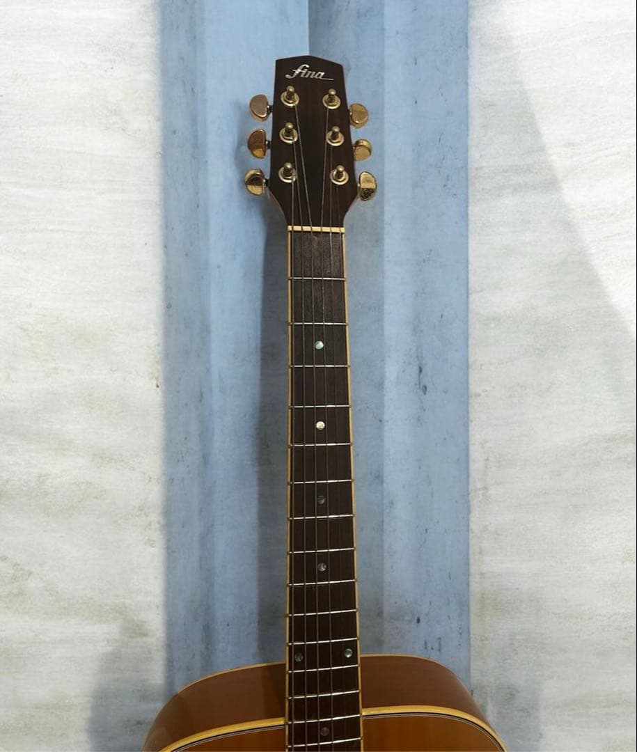 Fina アコースティックギターGuitar FAW-700/NT