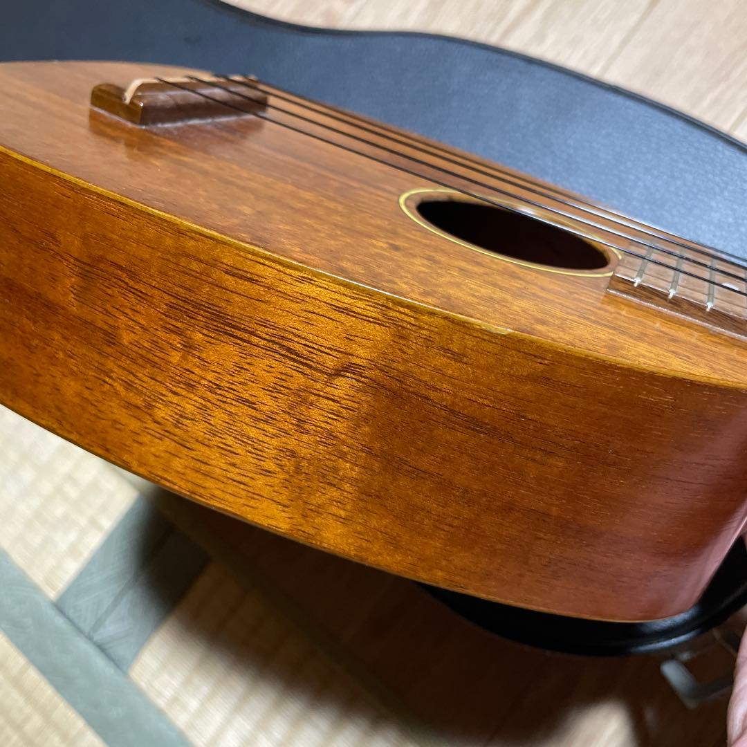 Pupukea UF-P20 パイナップルソプラノ