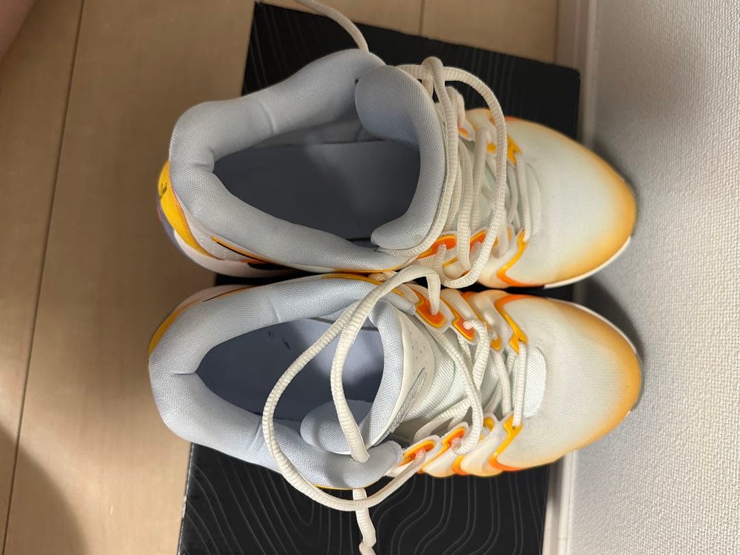シューズ(男性用) KD17 EP