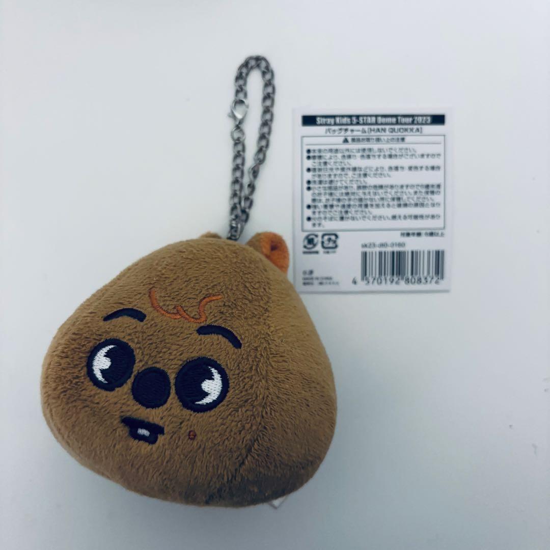 StrayKids ハン ぬいぐるみ セット マスター　おまけ付き