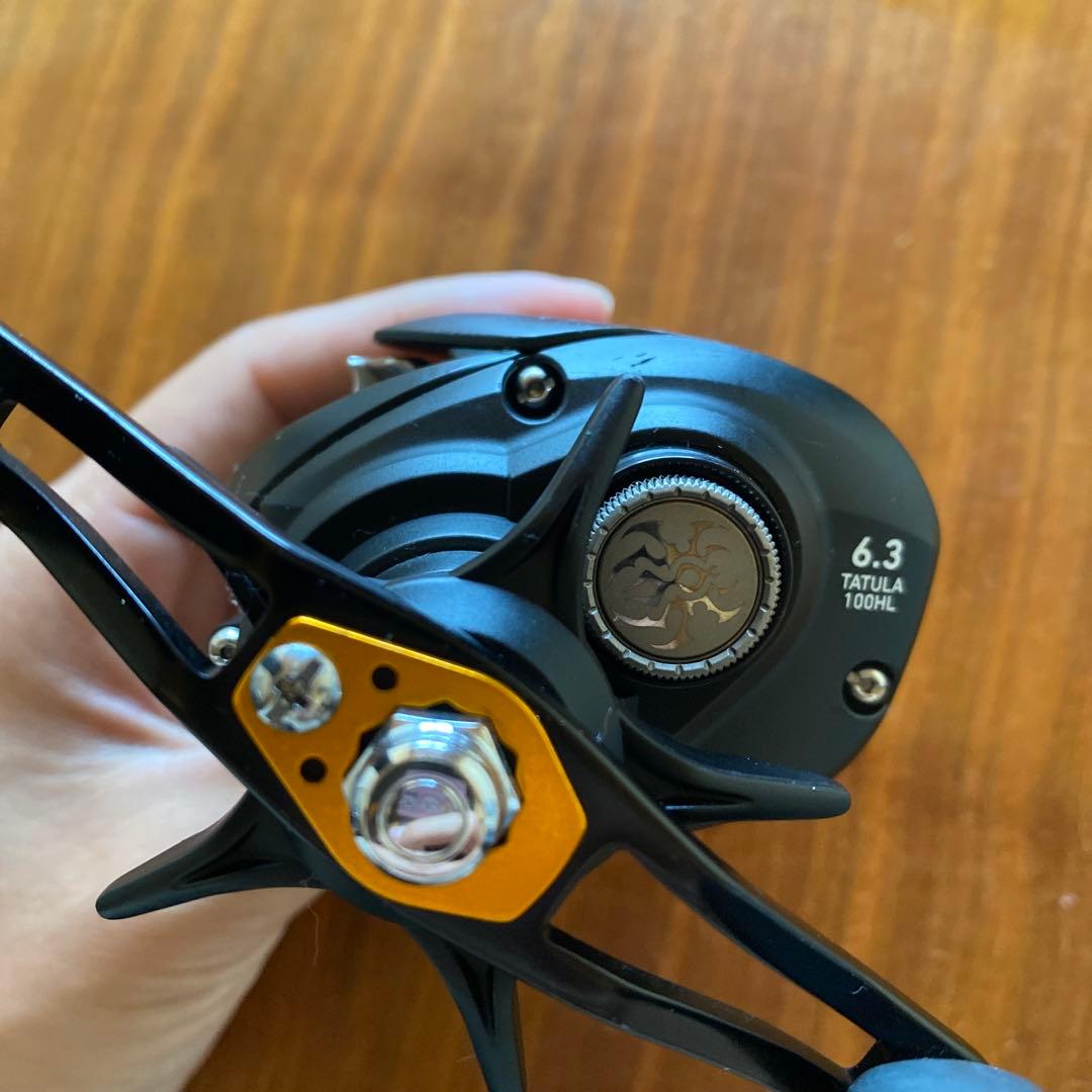 DAIWA TATULA TW 100HLダイワ タトゥーラ