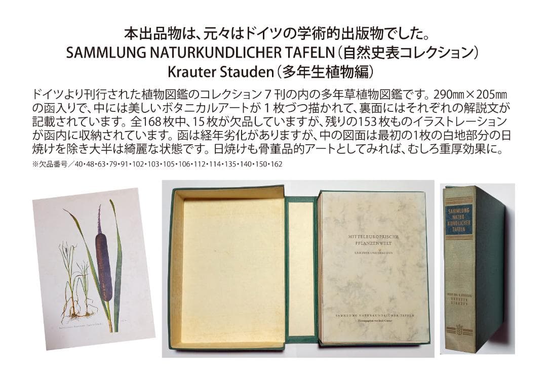ドイツ有名出版社ボタニカルアートコレクション