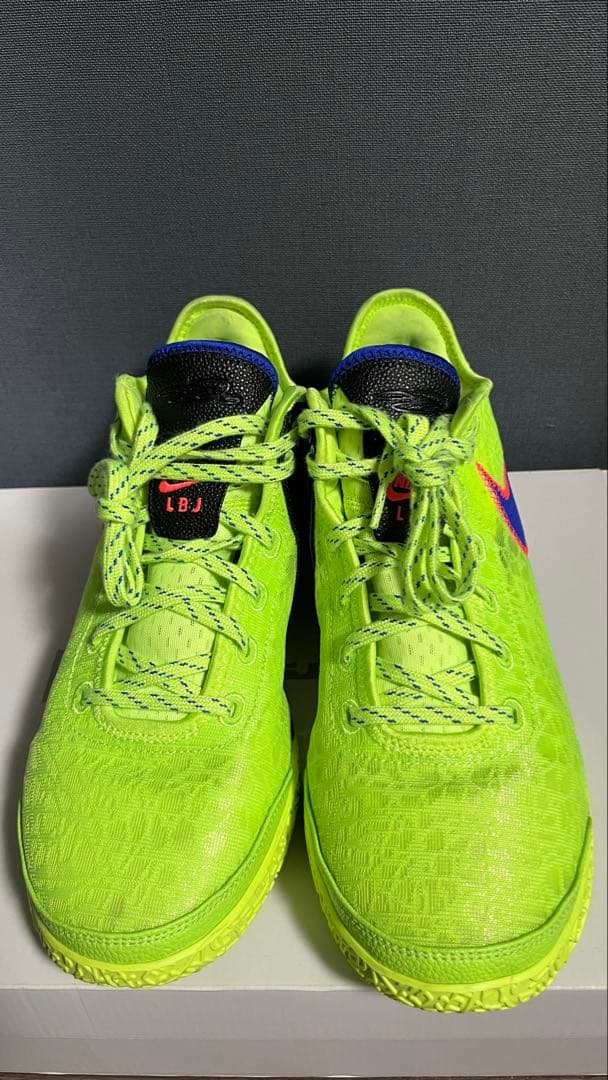 専用 NIKE LEBRON NXXT GEN EP ナイキ レブロン29cm