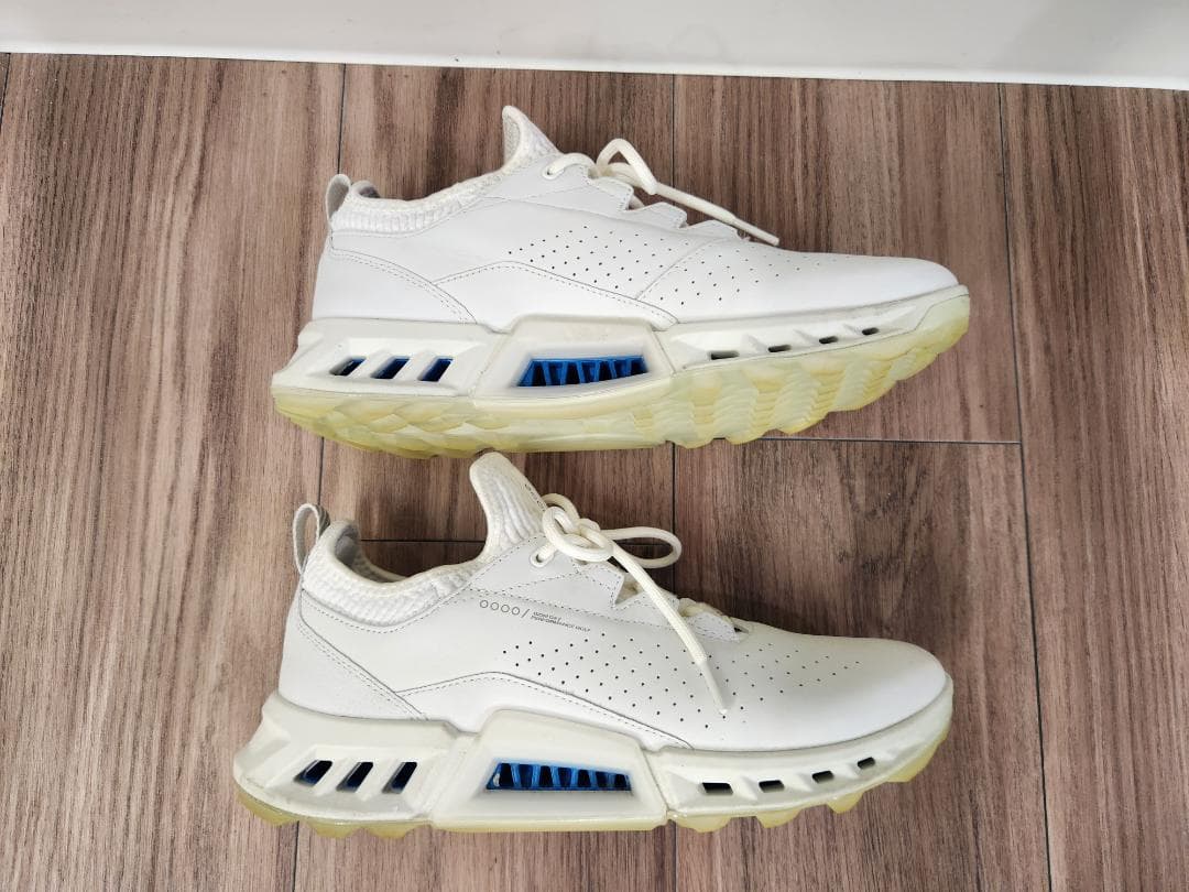 ecco BIOM C4 24.5センチ(39)