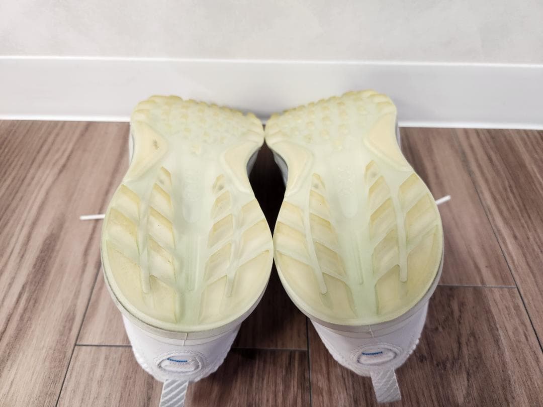 ecco BIOM C4 24.5センチ(39)