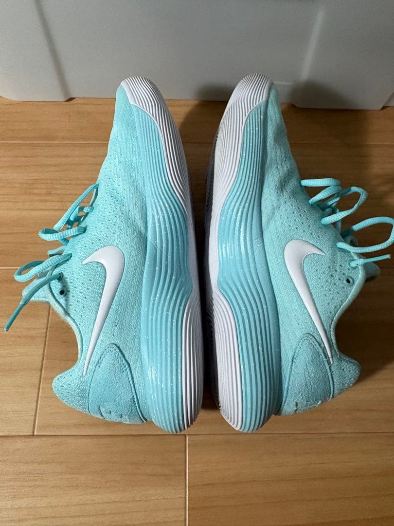 シューズ(男性用) NIKE HYPERDUNK 2017 LOW 28.5cm