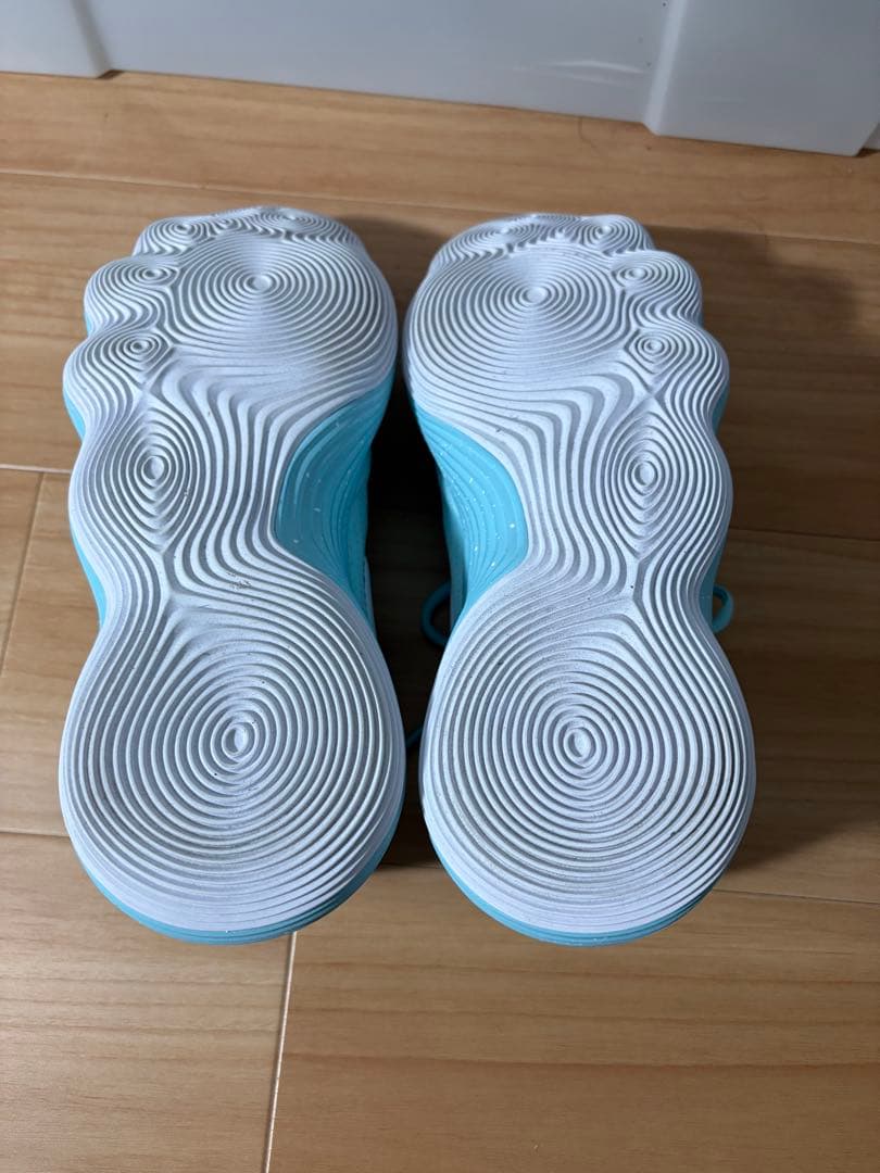 シューズ(男性用) NIKE HYPERDUNK 2017 LOW 28.5cm