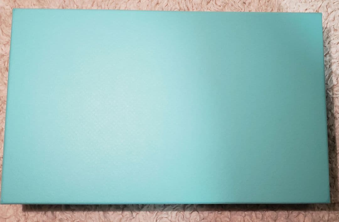 【未使用】ティファニー Tiffany ヴィドポシェ 小皿 ミニアッシュトレイ