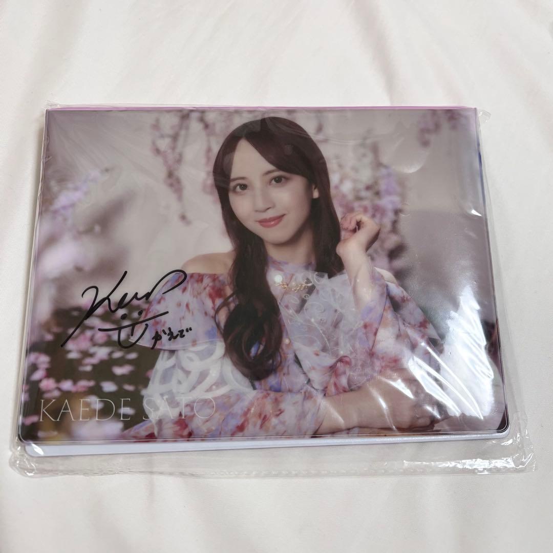 乃木坂46 乃木フェス 佐藤楓 直筆サイン入りプリントカードケース