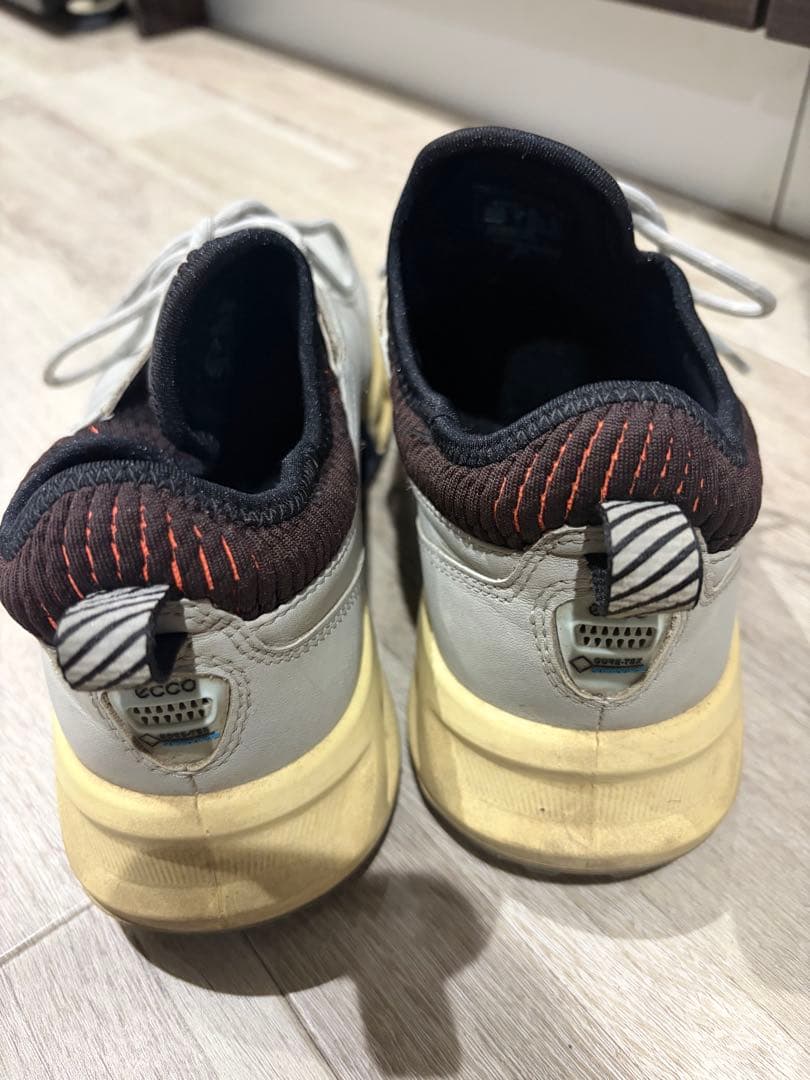 ECCO BIOM G4 PERFORMANCE GOLF シューズ