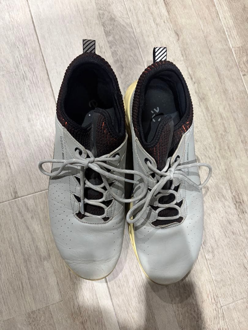 ECCO BIOM G4 PERFORMANCE GOLF シューズ