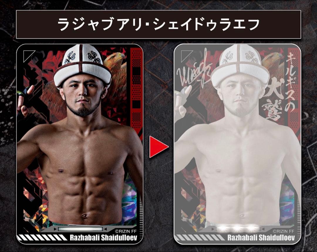 RIZIN クリアパスケース