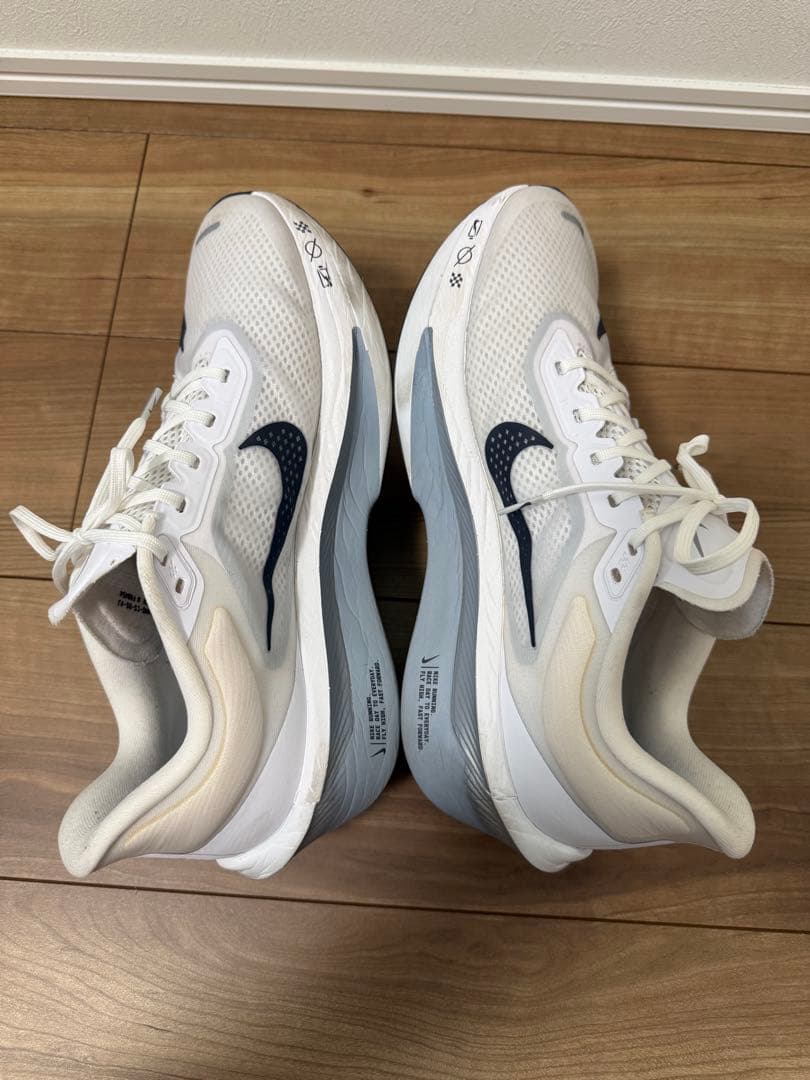 ナイキ ズームフライ6 ZOOM FLY 6 29cm