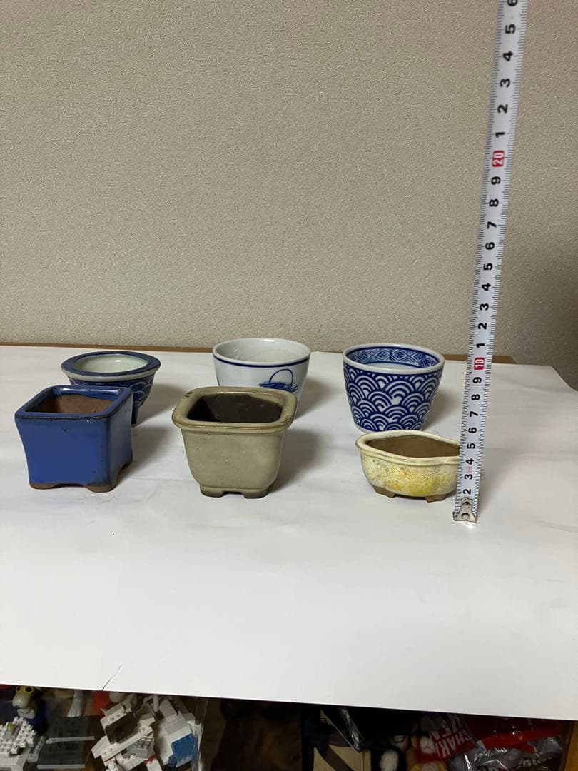 Y*i様 盆栽小鉢　30鉢