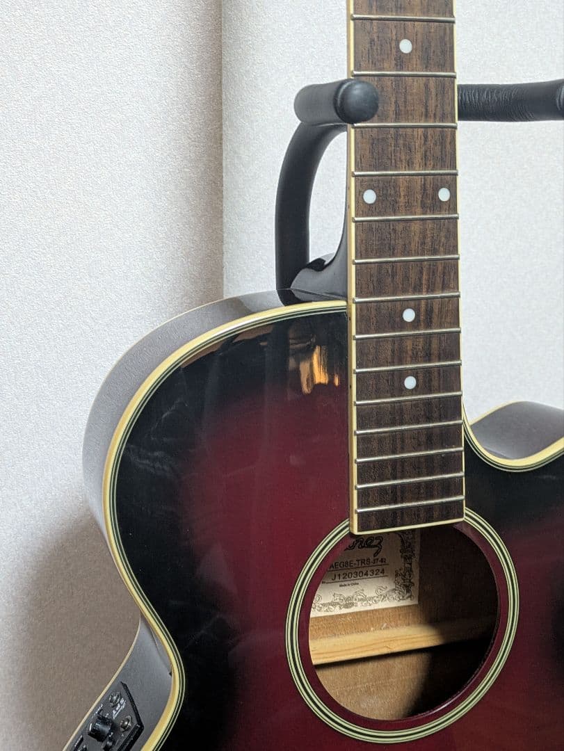 s*n様 Ibanezエレアコ