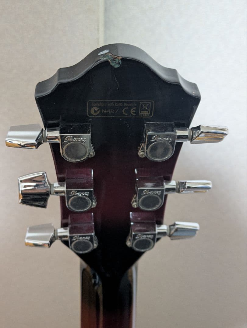 s*n様 Ibanezエレアコ